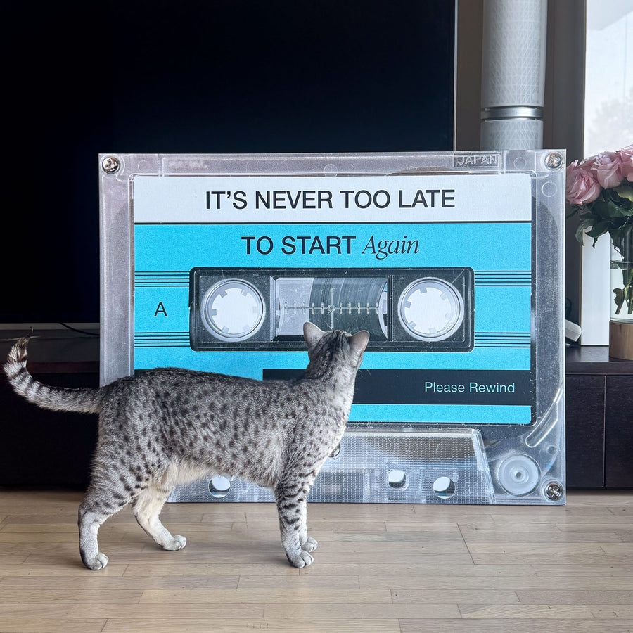 Cat standing in front of a large tape cassette canvas art with 'It's Never Too Late To Start Again' text.