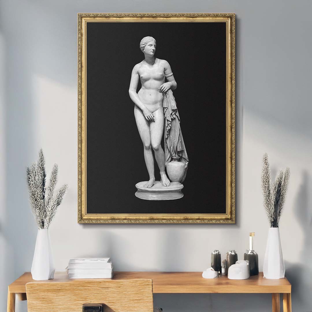 Aphrodite - Bold Beauty canvas art