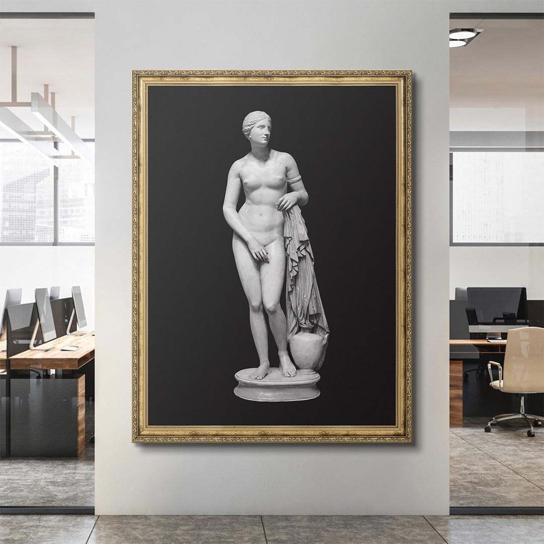 Aphrodite - Bold Beauty canvas art
