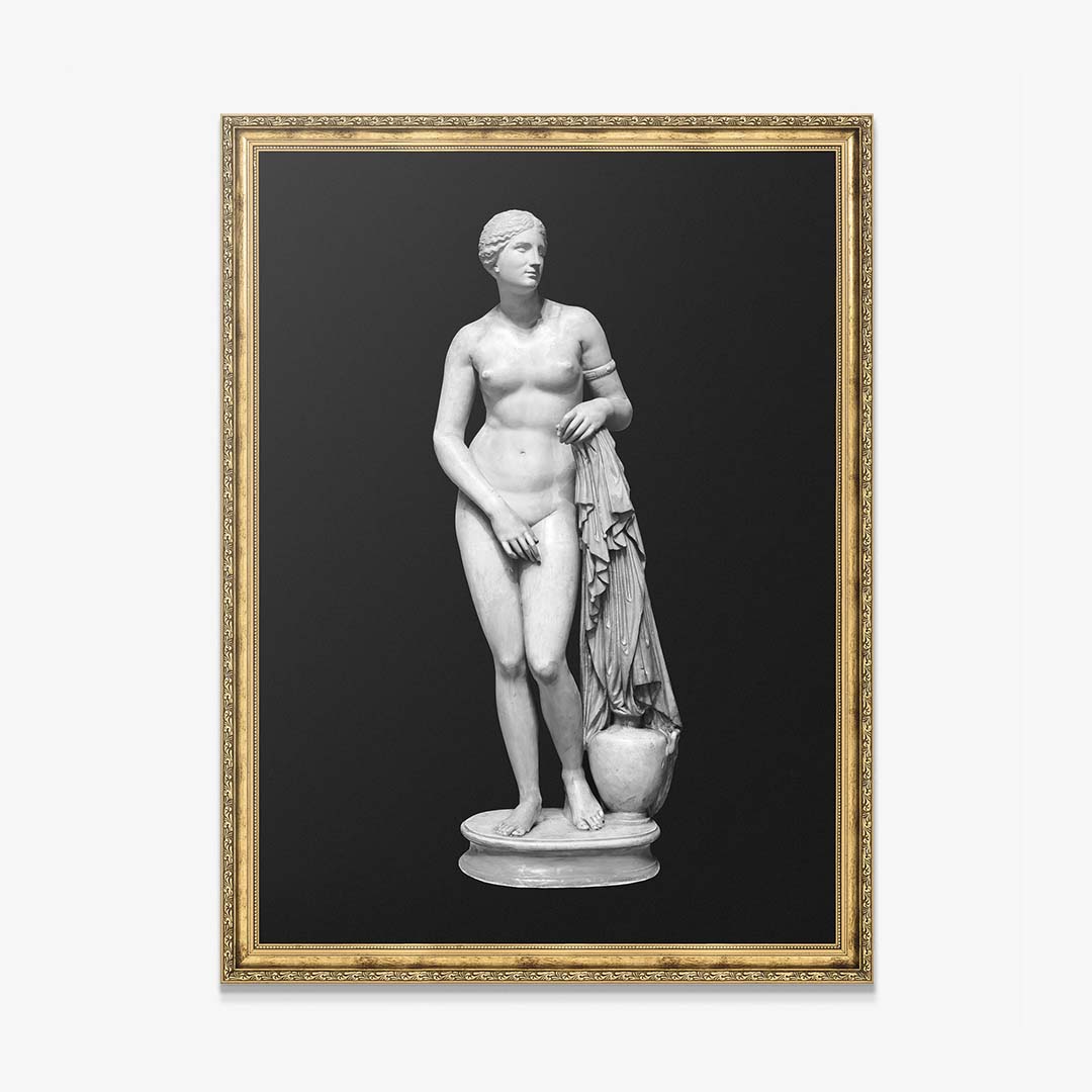 Aphrodite - Bold Beauty canvas art