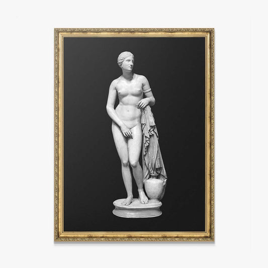 Aphrodite - Bold Beauty canvas art