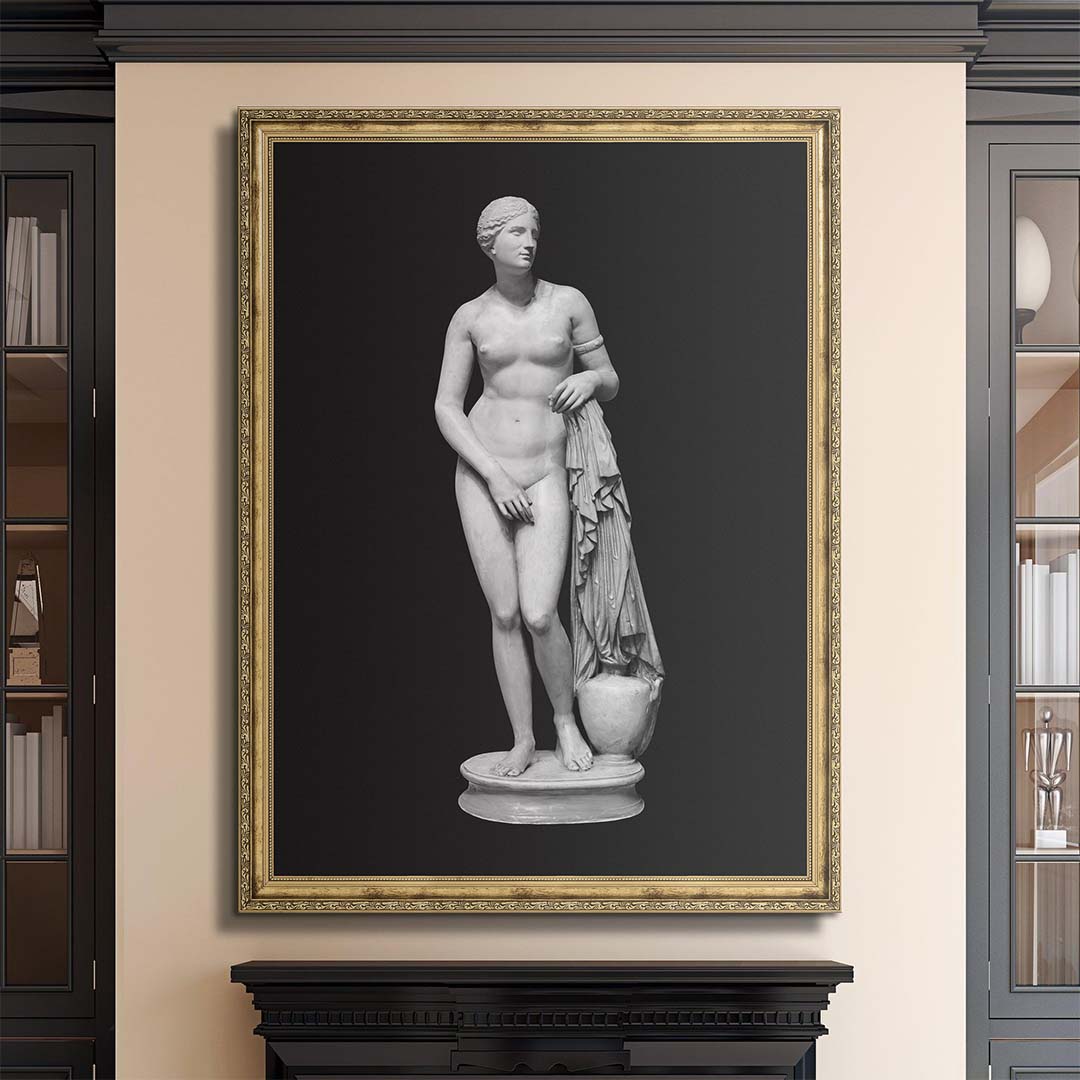Aphrodite Bold Beauty canvas wall art