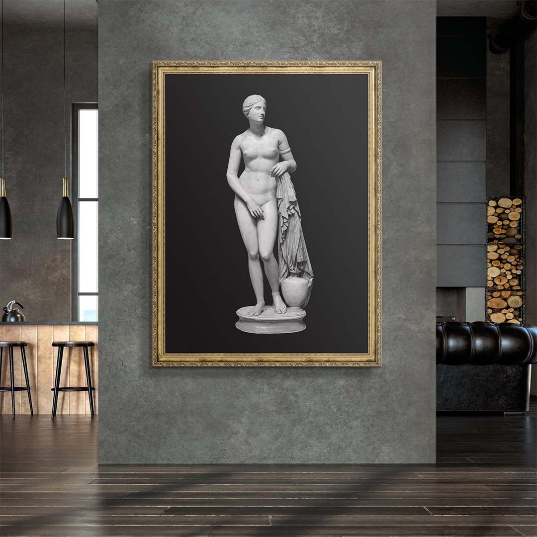 Aphrodite - Bold Beauty canvas art