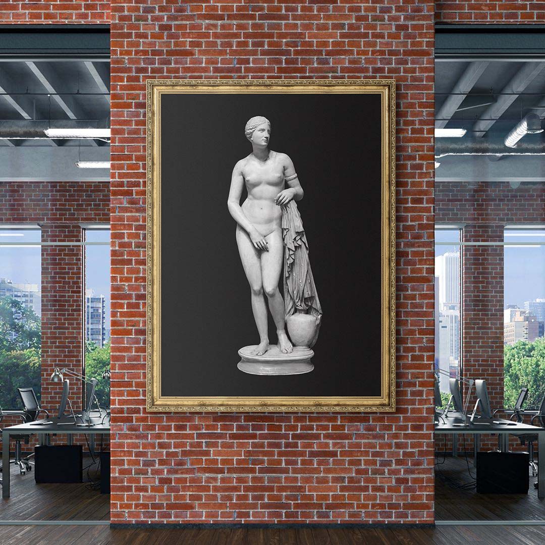 Aphrodite - Bold Beauty canvas art