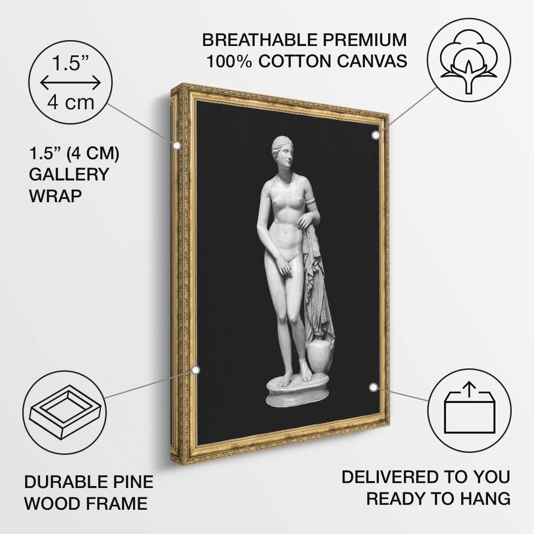 Aphrodite - Bold Beauty canvas art