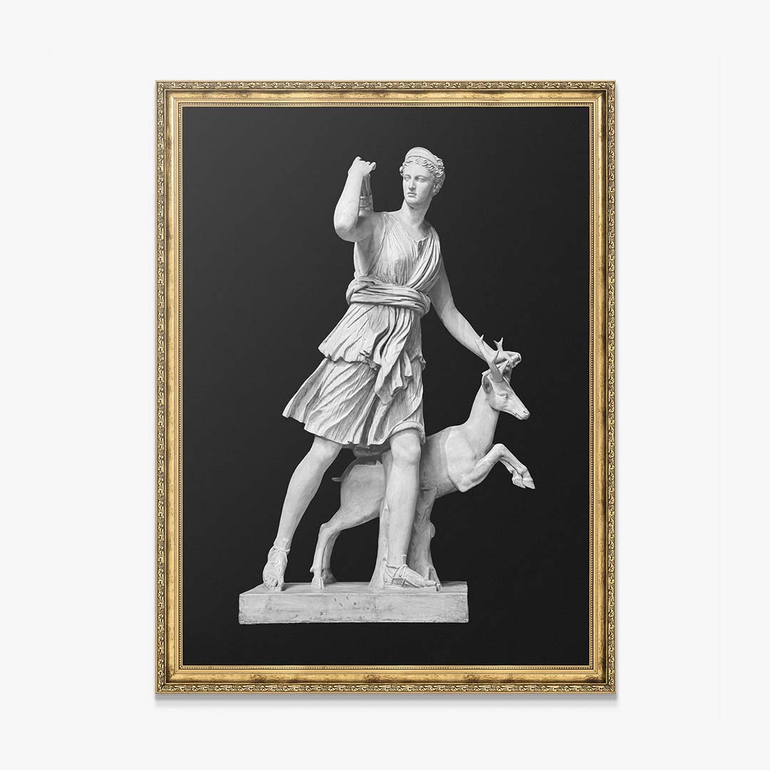 Artemis - Sharp Focus canvas art