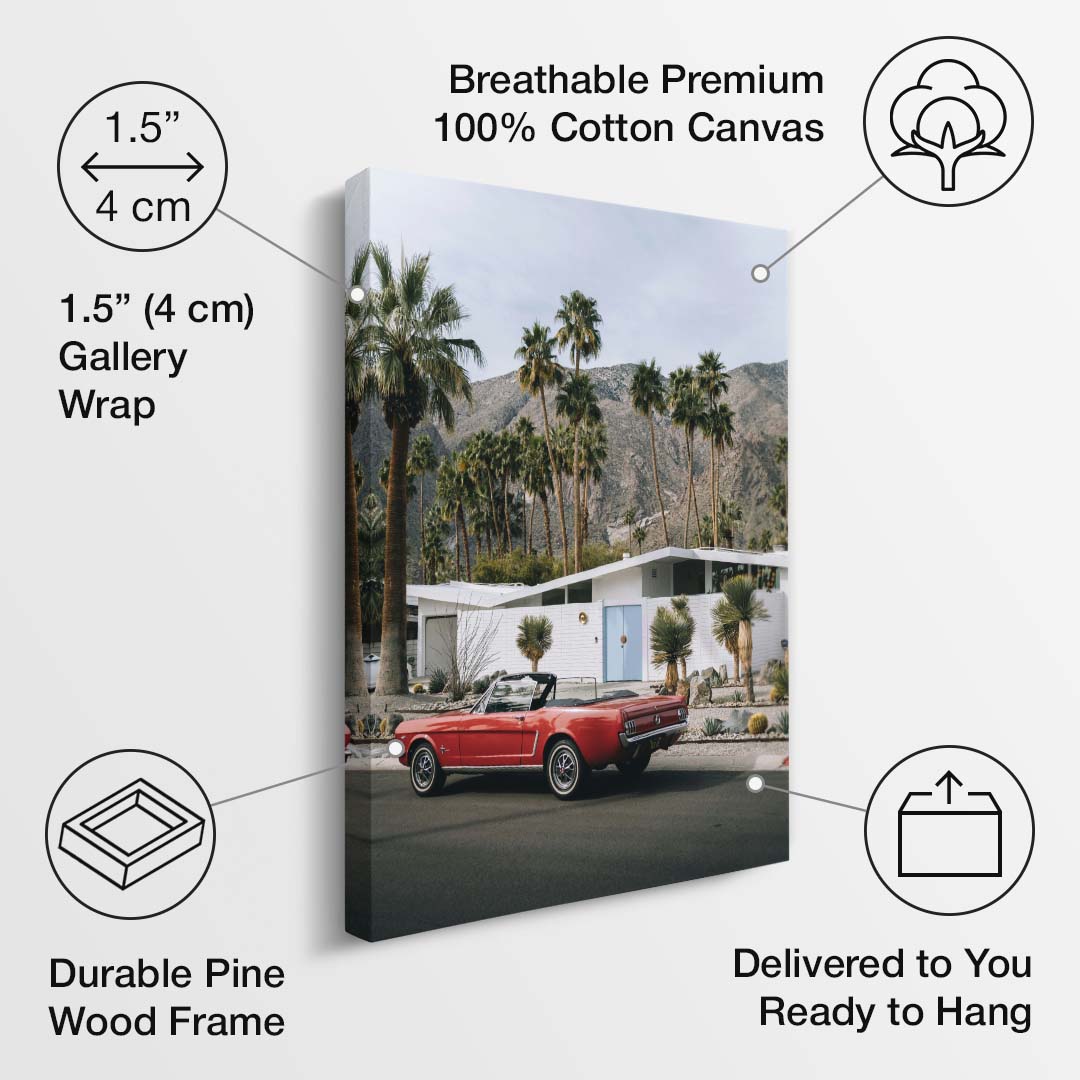 Desert Classic canvas art