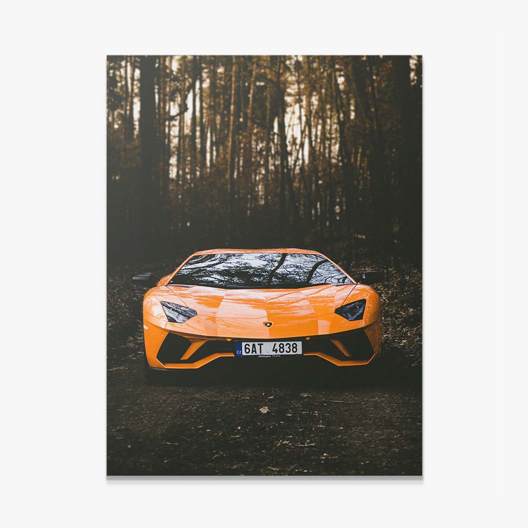 Forest Beast canvas art