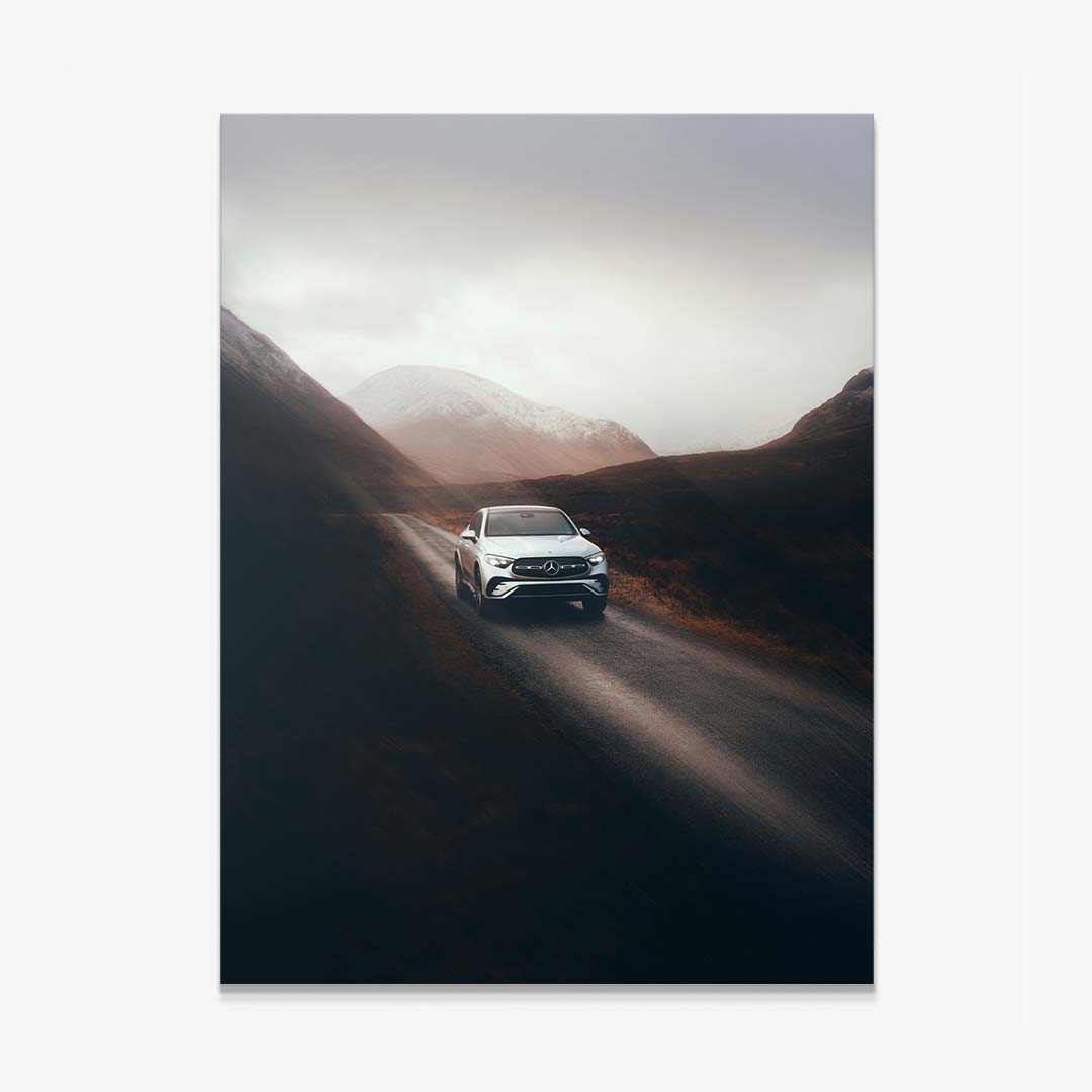 Into the Wild canvas art