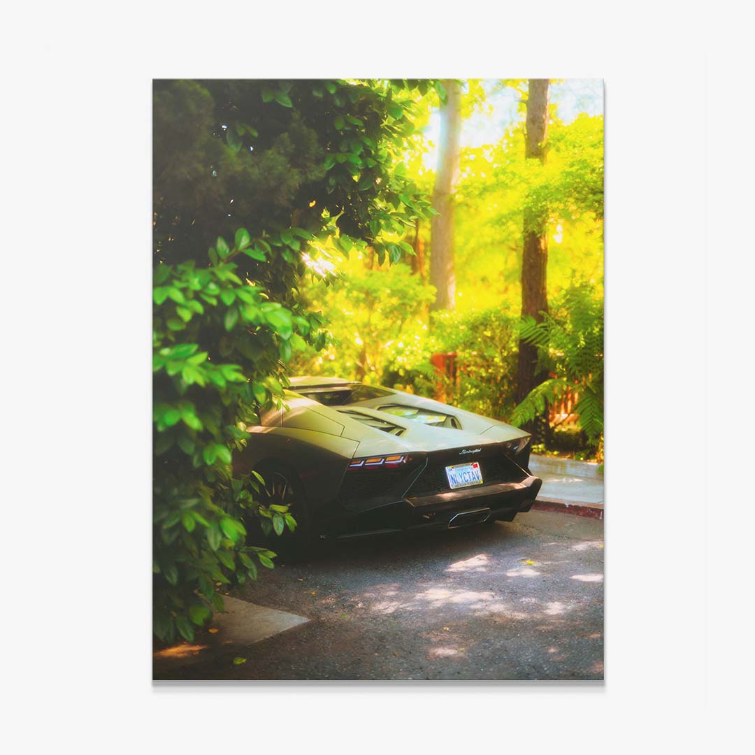 Jungle Aventador canvas art