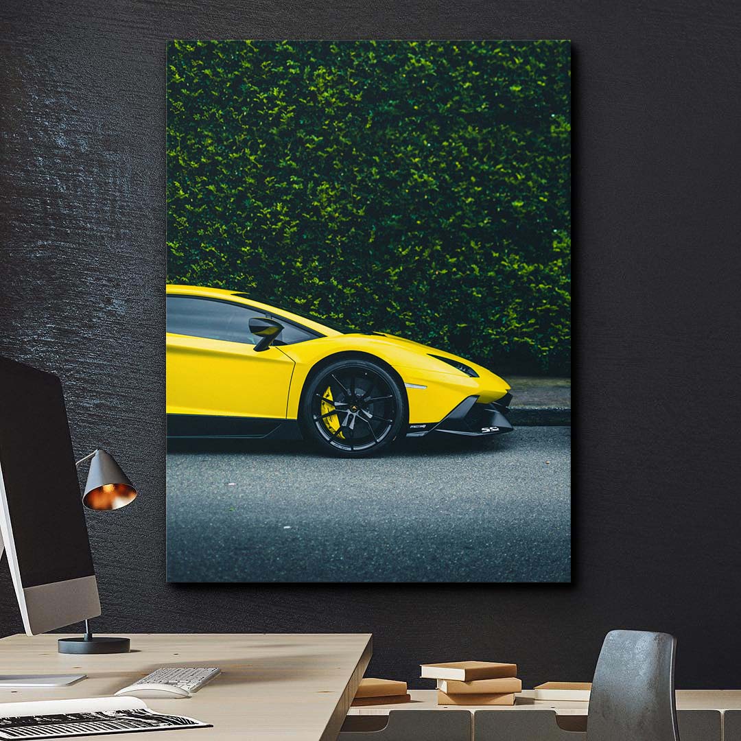 Loud Silence canvas art