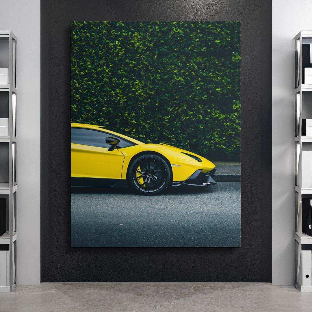 Loud Silence canvas art