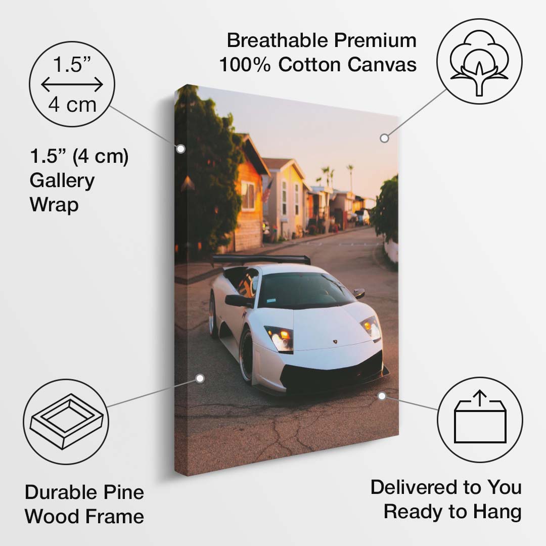 Street Murcielago canvas art