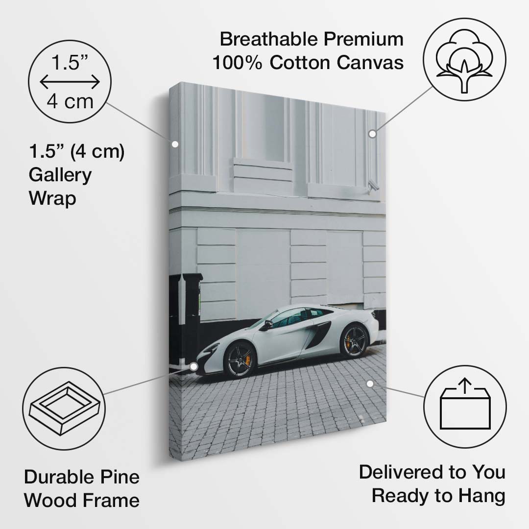 Urban Stealth canvas art
