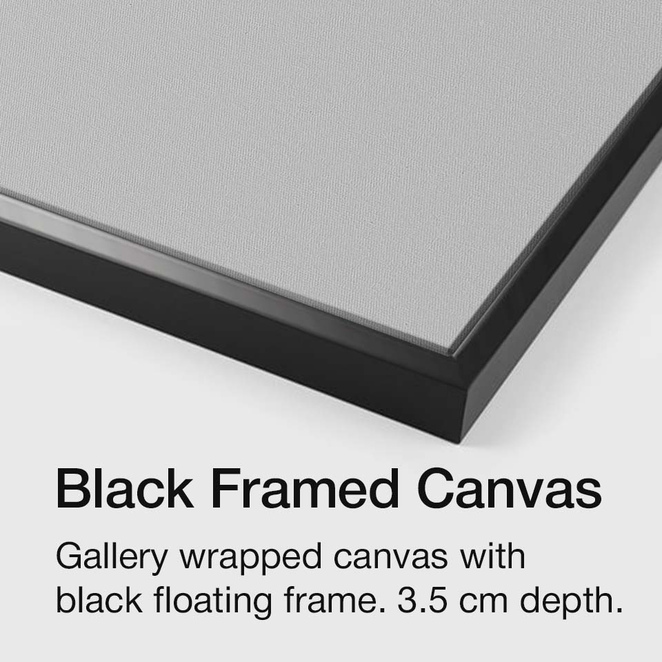Black framed canvas guide
