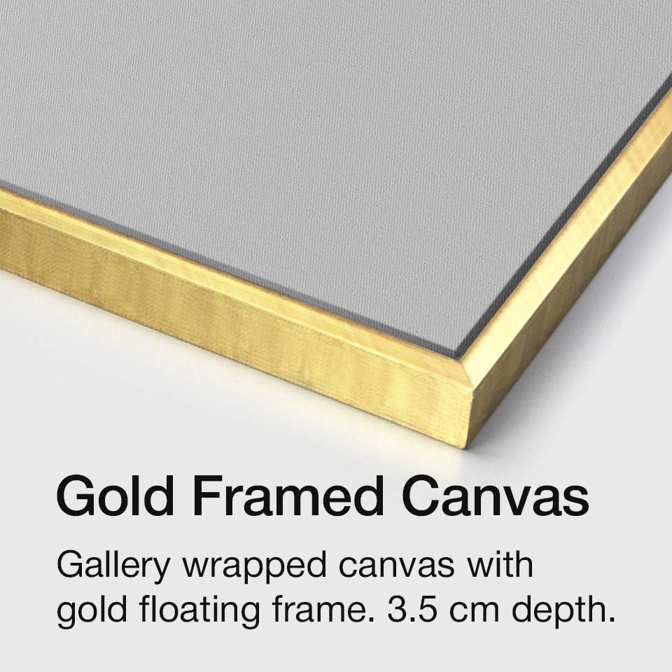 Gold framed canvas guide