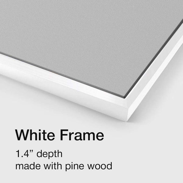 White frame guide