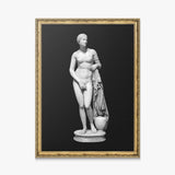 Aphrodite Bold Beauty canvas wall art