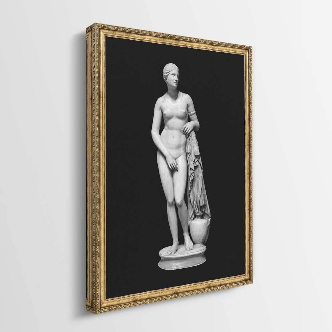 Aphrodite Bold Beauty canvas wall art