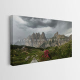 Bloom Where You’re Planted canvas wall art