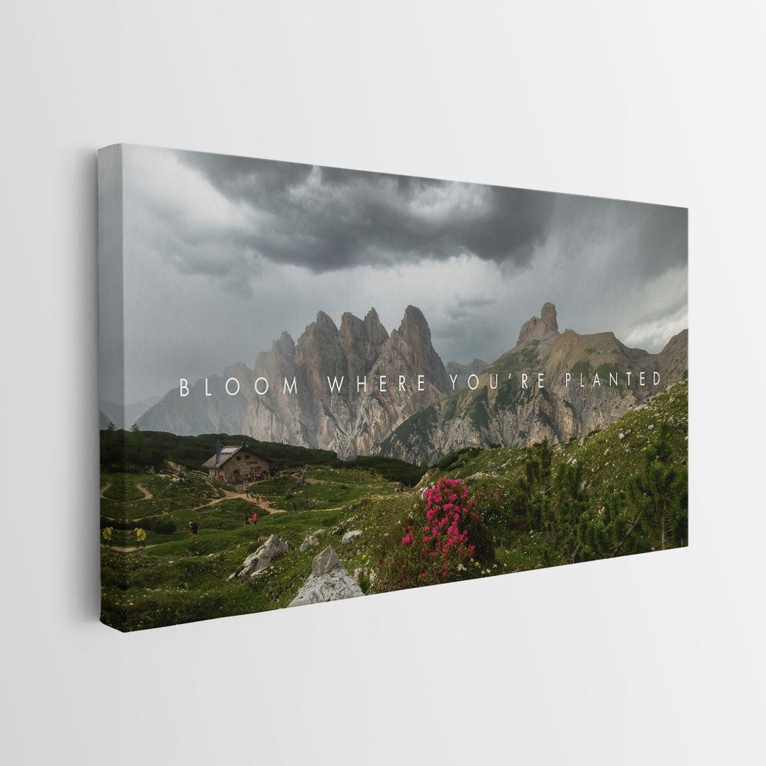 Bloom Where You’re Planted canvas art