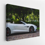 Calm Speed Whisper canvas wall art