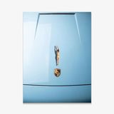 Car Dive canvas wall art