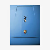 Car Surfing canvas wall art