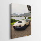 Coastline Velocity canvas wall art