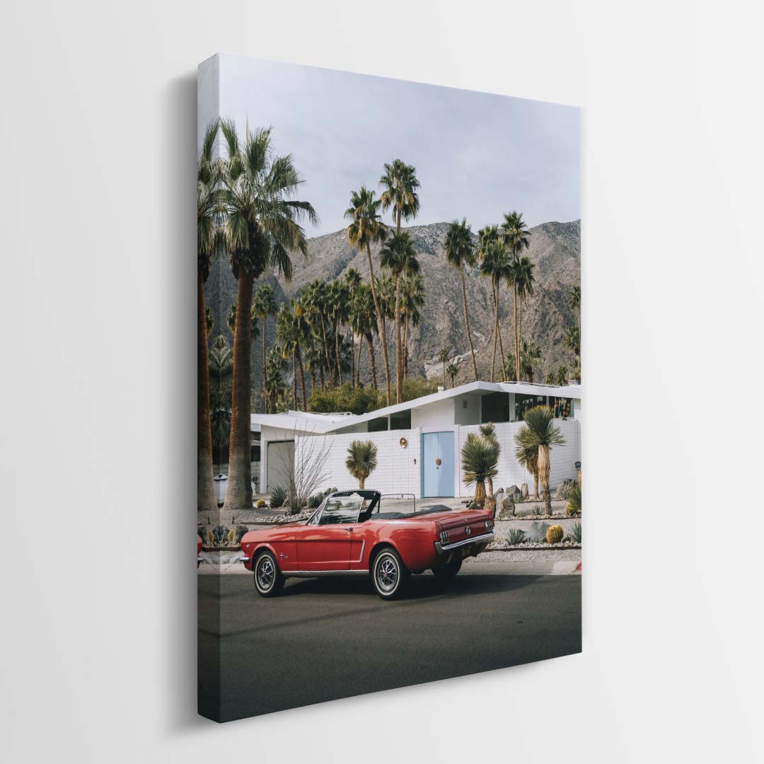 Desert Classic canvas wall art