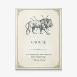 Endure lion Marcus Aurelius quote canvas print on cream, gallery-wrapped and ready to hang
