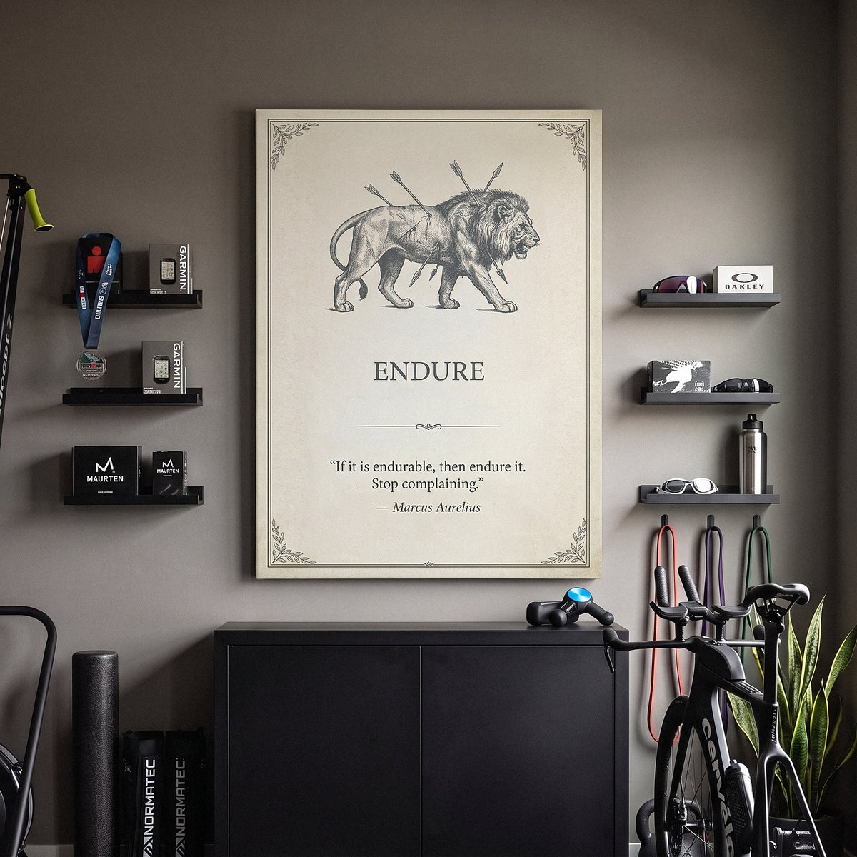 Endure lion quote canvas above a black cabinet with kettlebells in a home gym