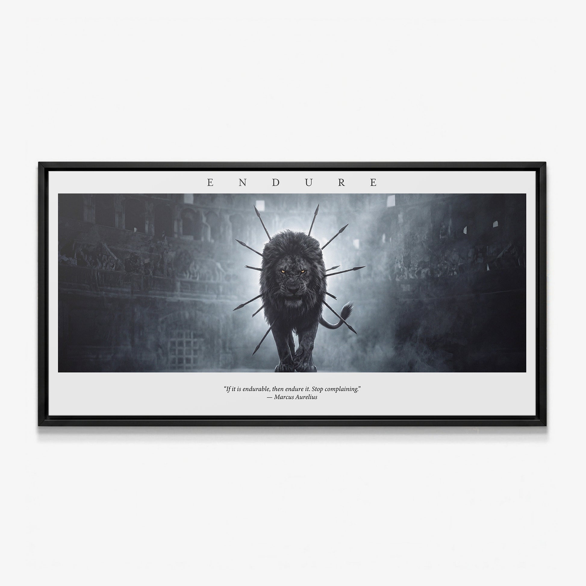 Endure The Arena lion quote canvas in a black floating frame