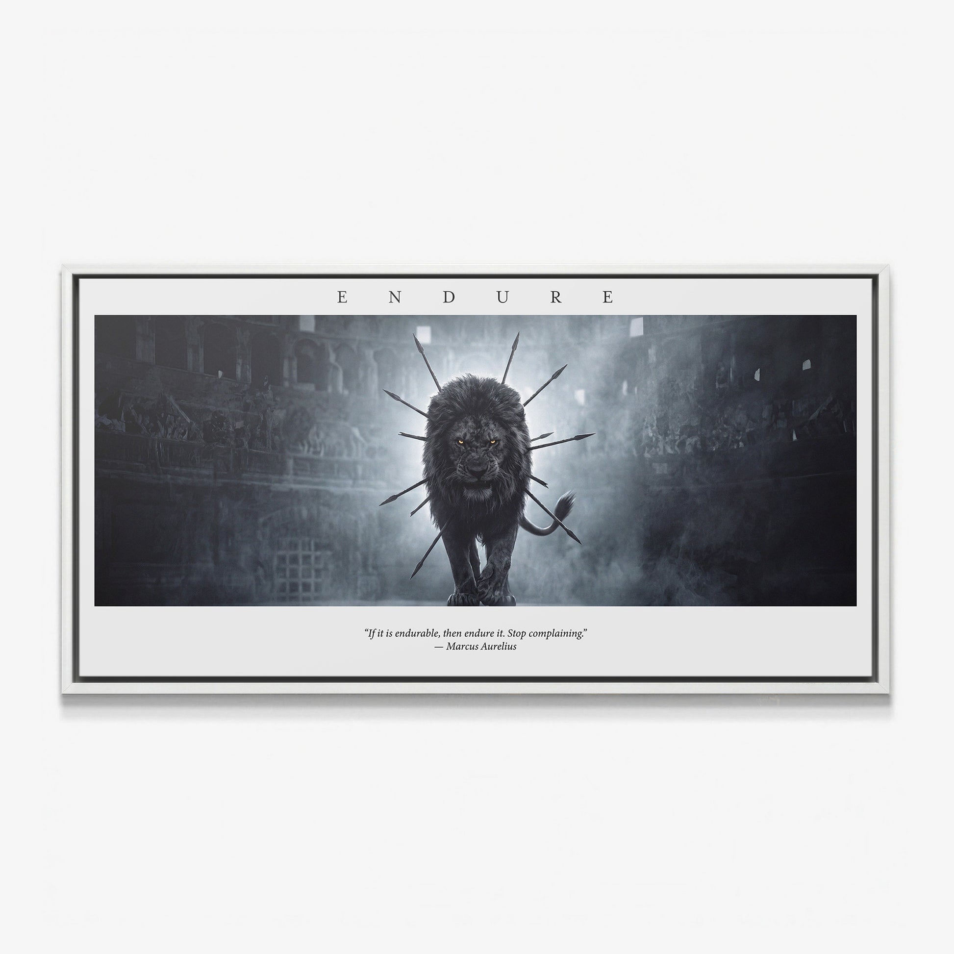 Endure The Arena lion quote canvas in a white floating frame