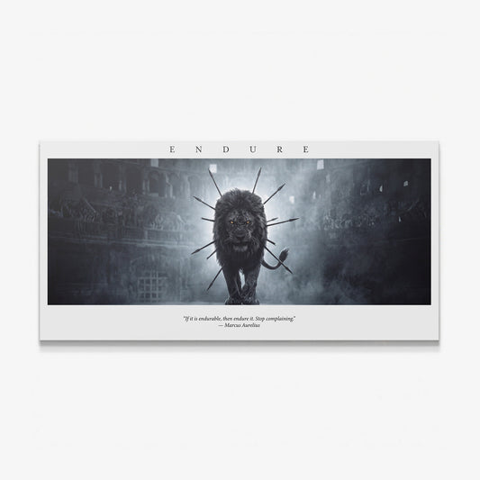 Endure The Arena Marcus Aurelius lion quote canvas print