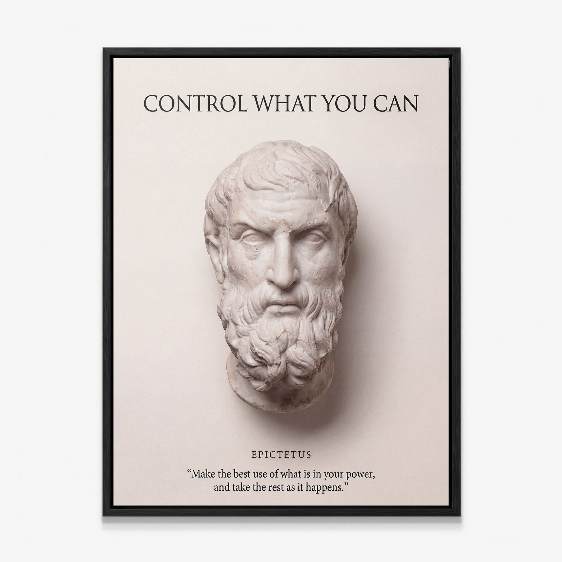 Epictetus Control What You Can Stoic canvas wall art in a black floating frame