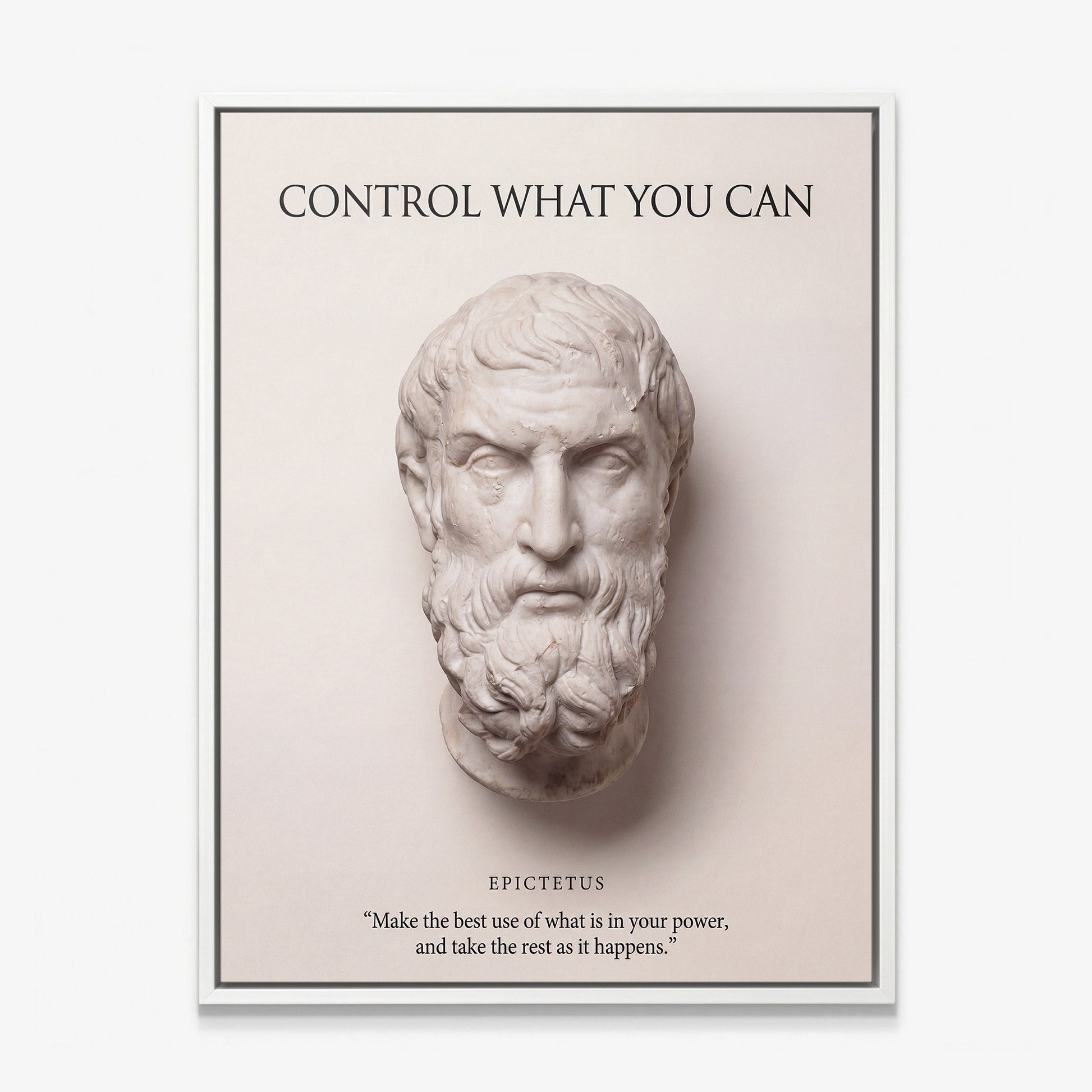 Epictetus Control What You Can Stoic canvas wall art in a white floating frame