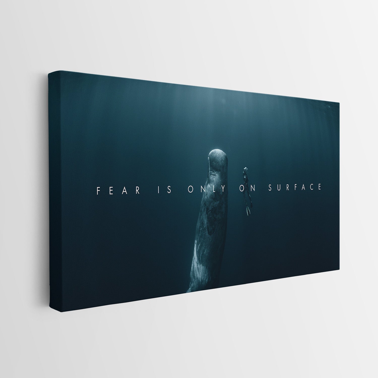 Fear Is Only On Surface canvas wall art