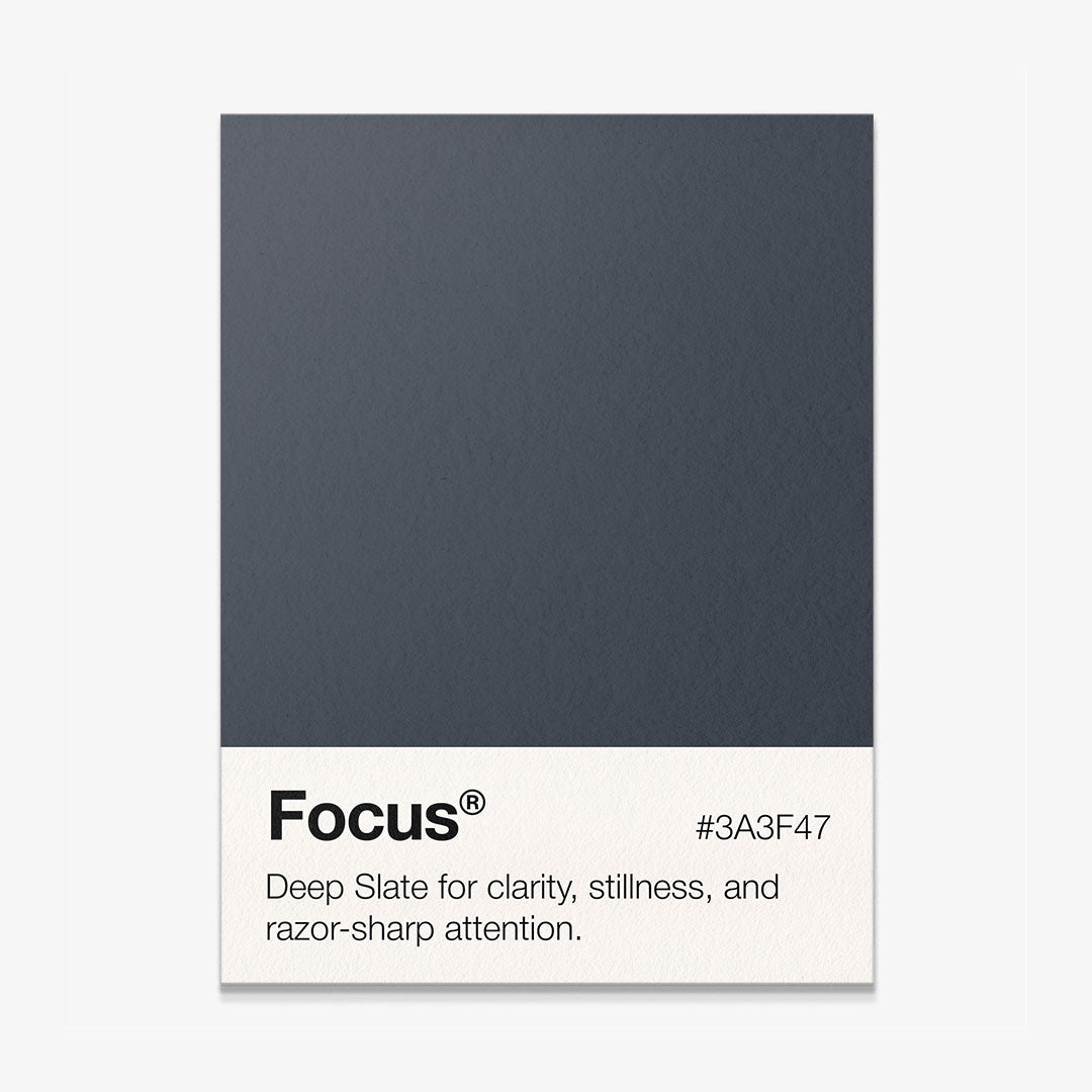 Focus Palette motivational canvas wall art