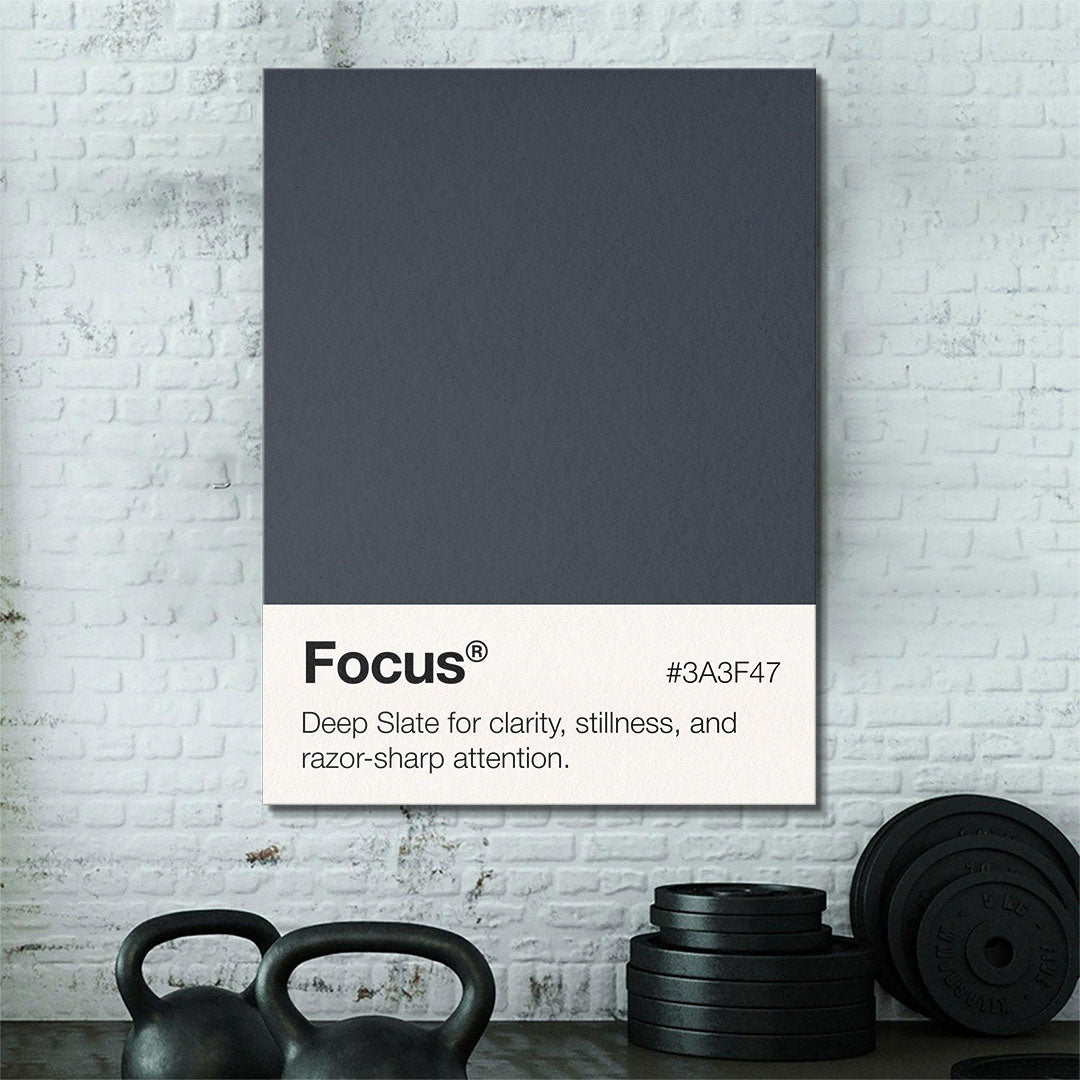 Focus Palette motivational canvas wall art