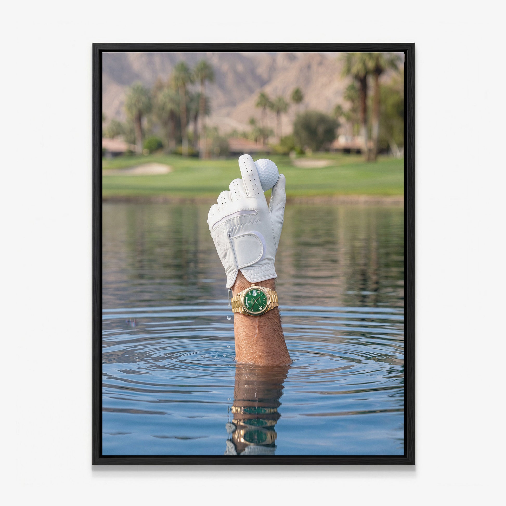 Found It golf canvas black frame