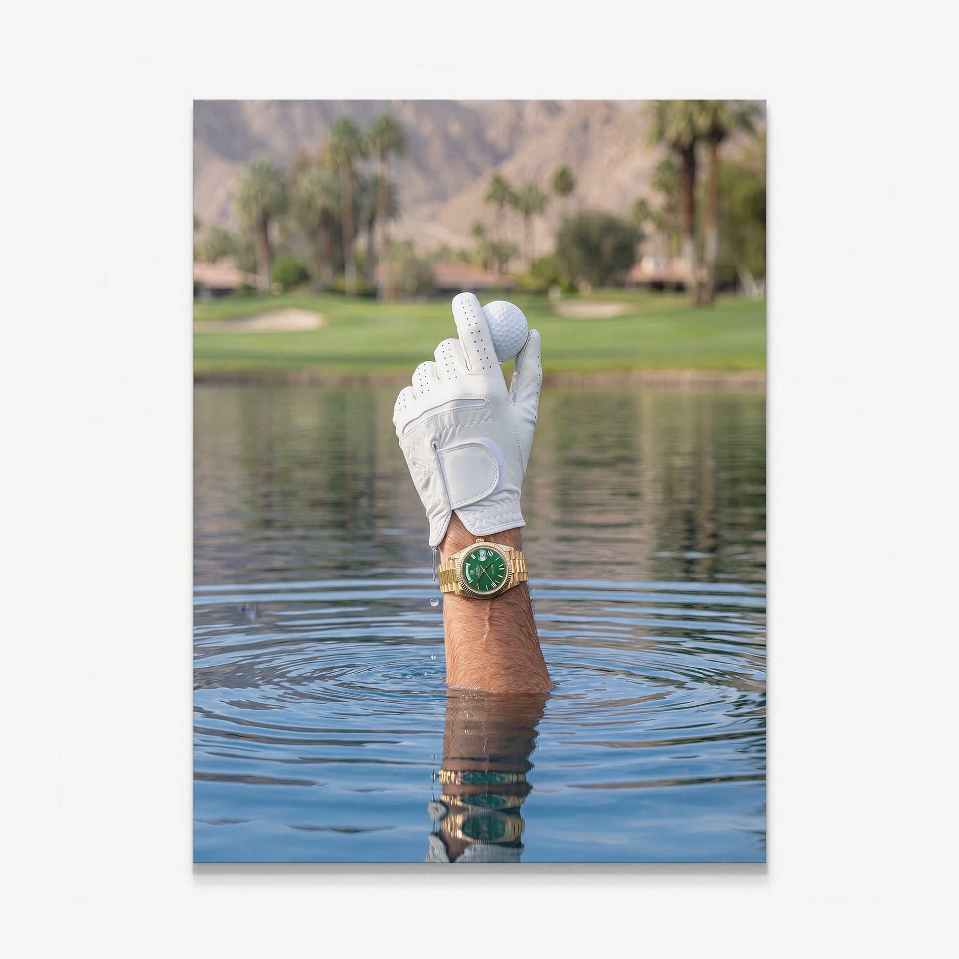Found It golf canvas wall art print