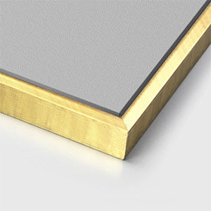 Gold Framed Canvas 