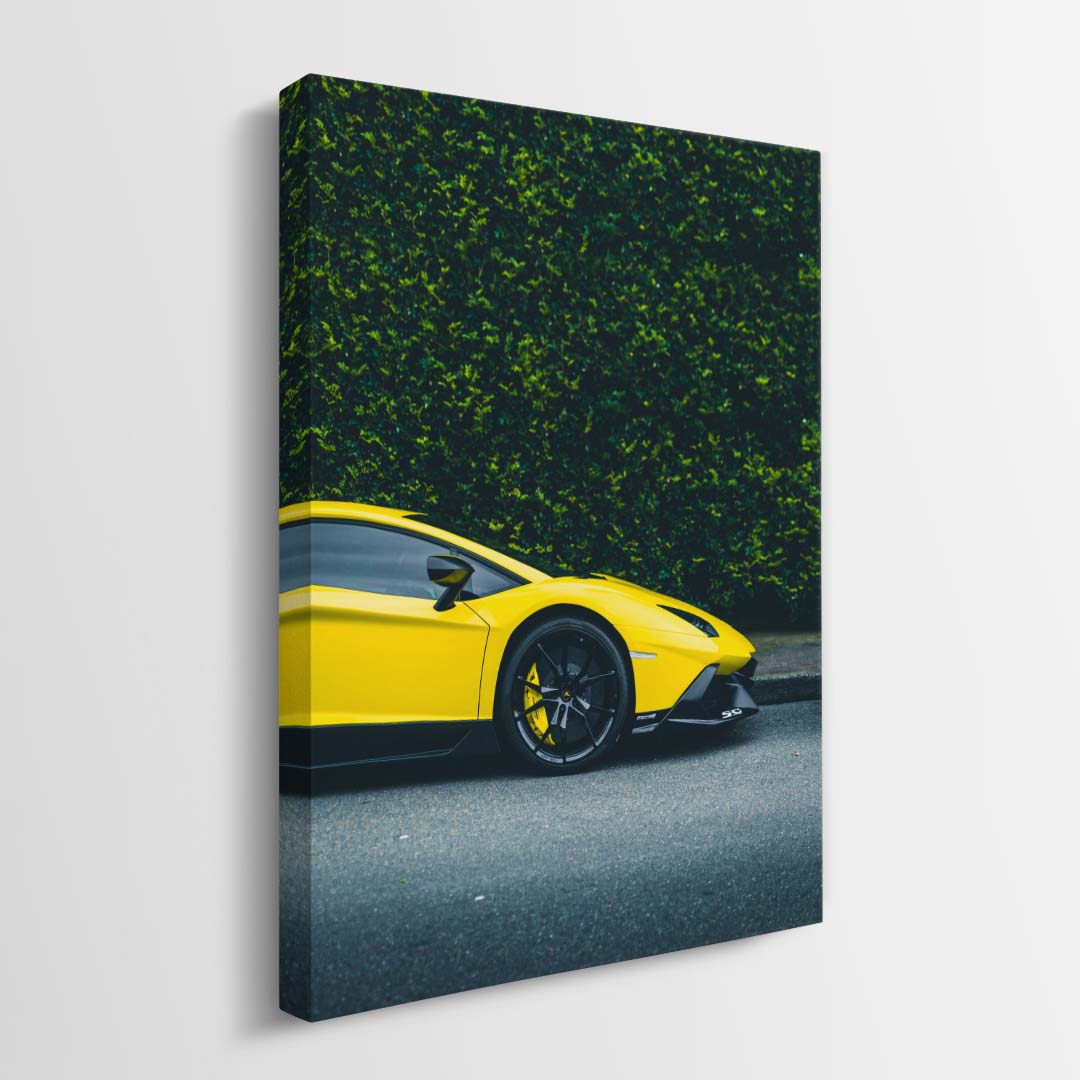 Loud Silence canvas wall art