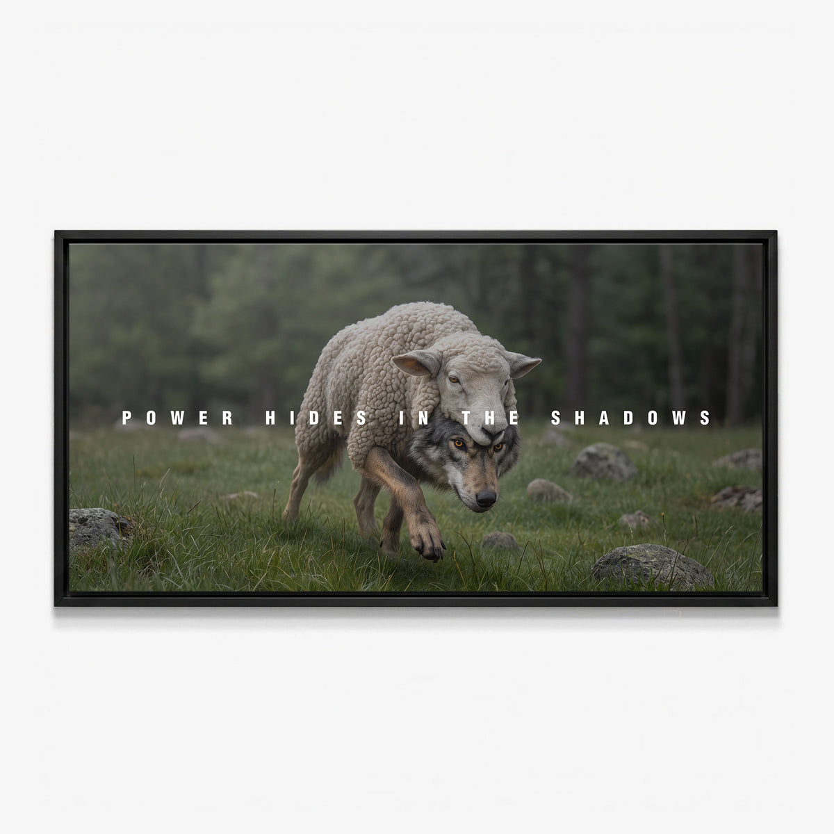 Power Hides In The Shadows canvas in a black floating frame