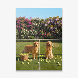 Puppy Tennis wall art canvas print