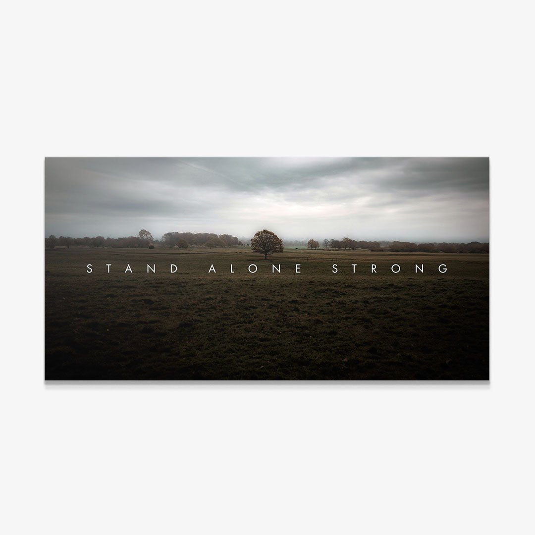Stand Alone Strong canvas art
