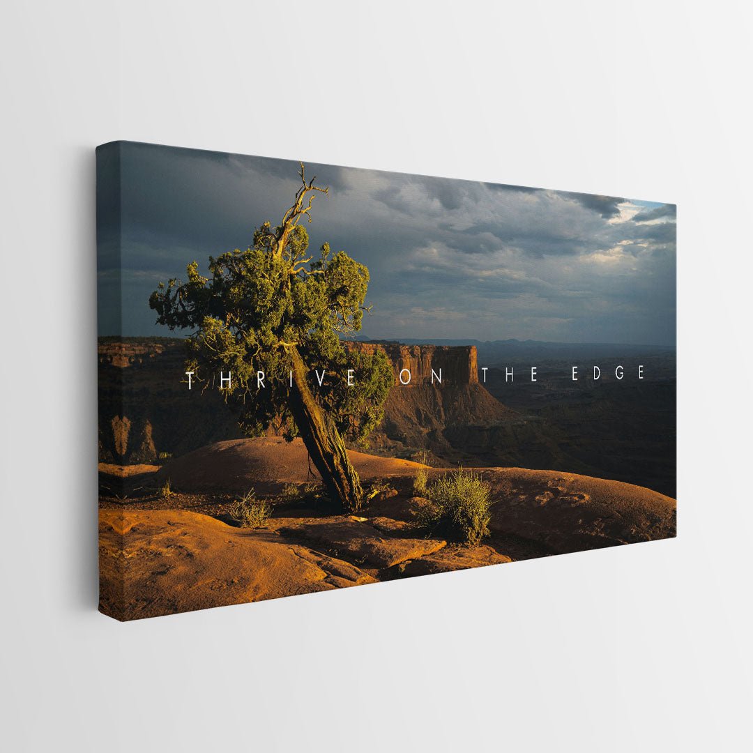 Thrive On The Edge canvas art
