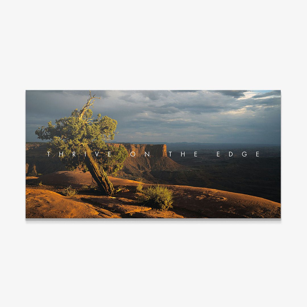 Thrive On The Edge canvas art