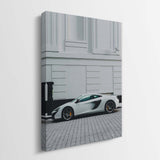 Urban Stealth canvas wall art